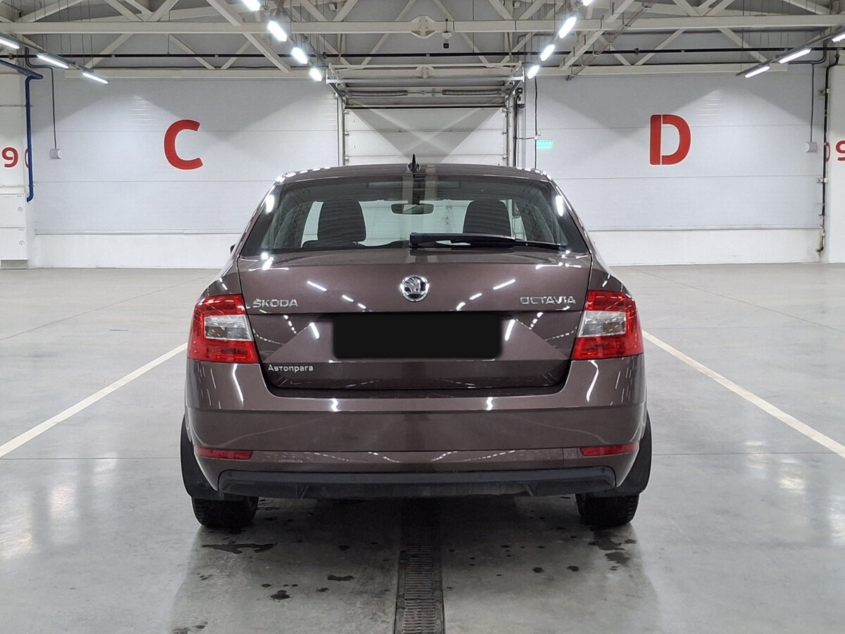 Skoda Octavia III (A7) Рестайлинг, 2020 Фото №6